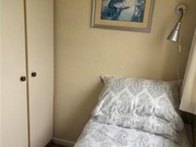 Picture 14